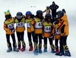 Alpska škola skijanja